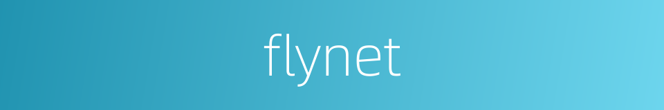 flynet的同义词