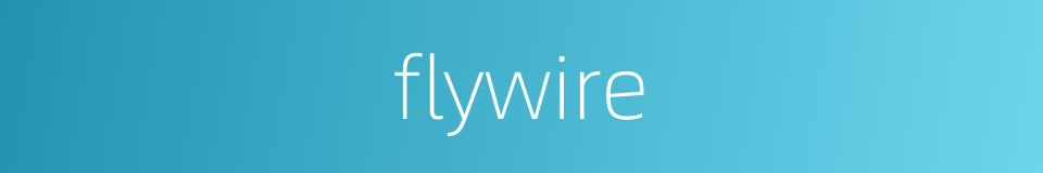 flywire的同义词