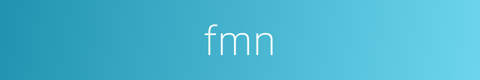 fmn的同义词