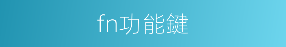 fn功能鍵的同義詞