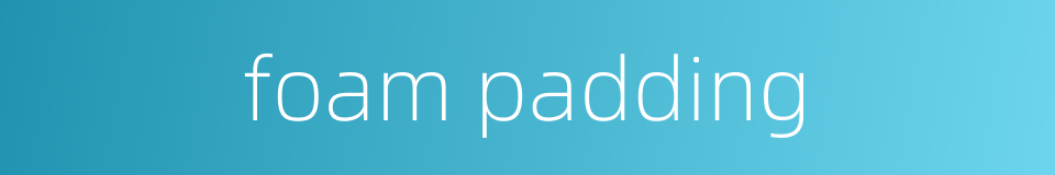 foam padding的同义词