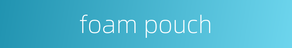 foam pouch的同义词