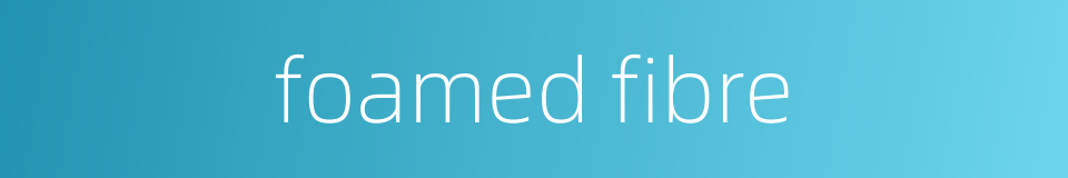 foamed fibre的同义词