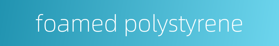 foamed polystyrene的同义词
