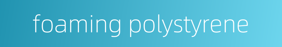 foaming polystyrene的同义词