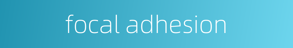 focal adhesion的同义词