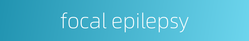 focal epilepsy的同义词