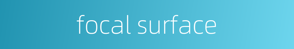 focal surface的同义词
