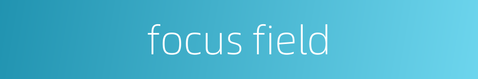 focus field的同义词