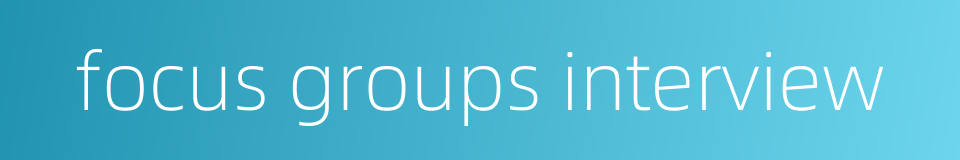 focus groups interview的同义词