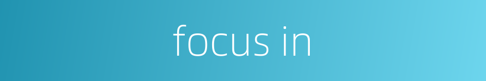 focus in的同义词