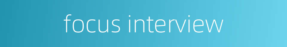 focus interview的同义词