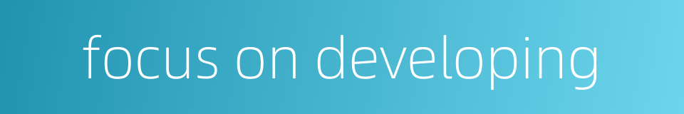 focus on developing的同义词