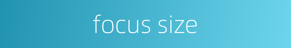 focus size的同义词