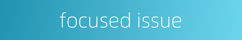 focused issue的同义词