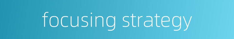focusing strategy的同义词
