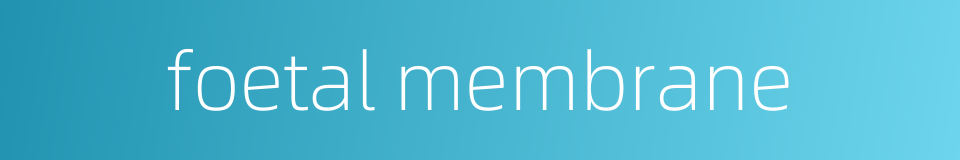 foetal membrane的同义词
