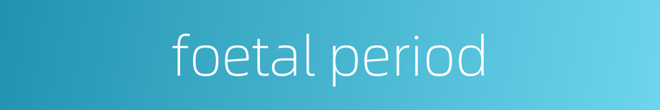 foetal period的同义词