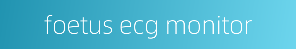 foetus ecg monitor的同义词