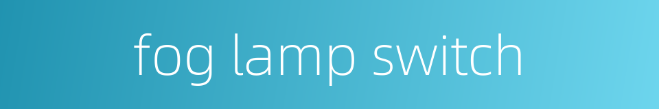 fog lamp switch的同义词