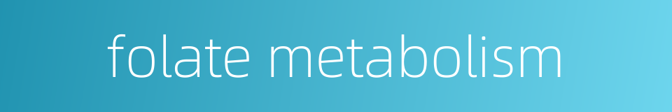 folate metabolism的同义词