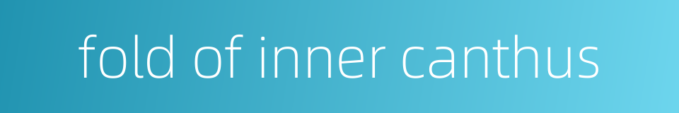 fold of inner canthus的同义词