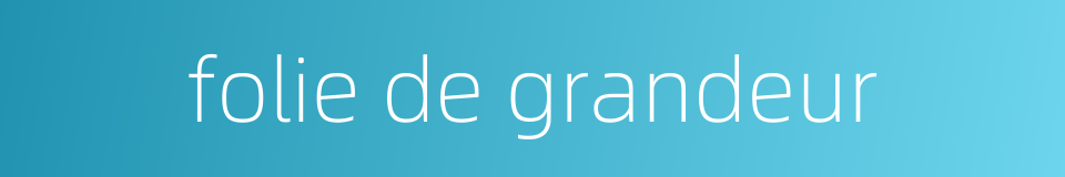 folie de grandeur的同义词