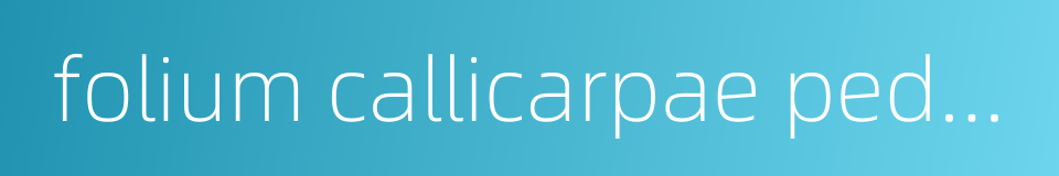 folium callicarpae pedunculalae的同义词