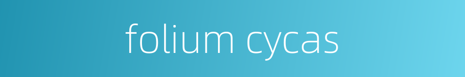 folium cycas的同义词