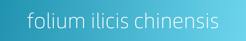 folium ilicis chinensis的同义词