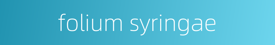 folium syringae的同义词