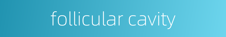 follicular cavity的同义词