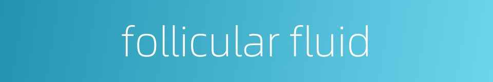 follicular fluid的同义词