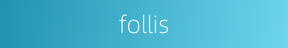 follis的同义词