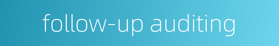follow-up auditing的同义词