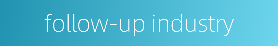 follow-up industry的同义词