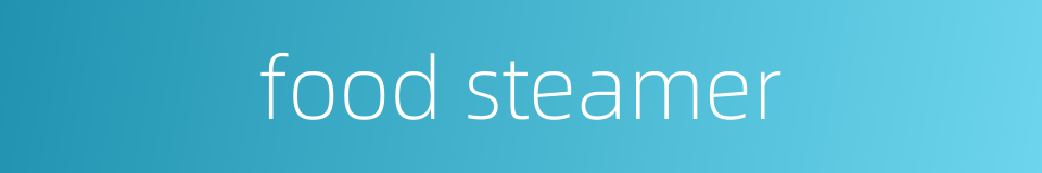 food steamer的同义词