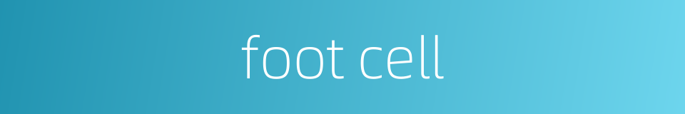 foot cell的同义词
