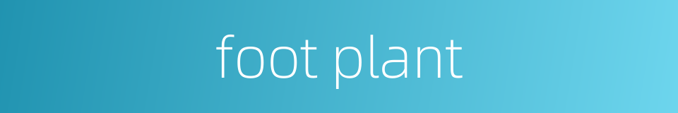 foot plant的同义词
