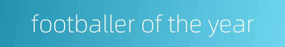 footballer of the year的同义词