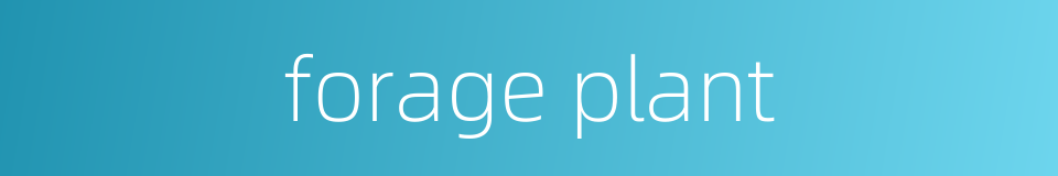 forage plant的同义词