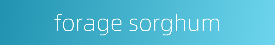 forage sorghum的同义词