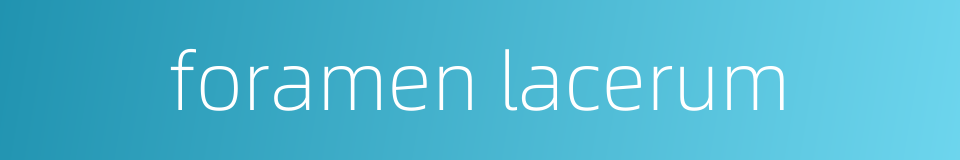 foramen lacerum的同义词