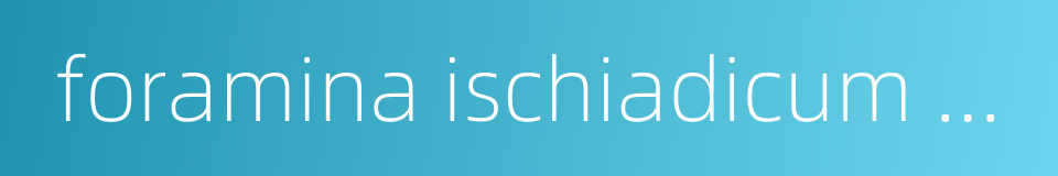 foramina ischiadicum majus的同义词