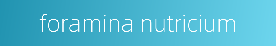 foramina nutricium的同义词
