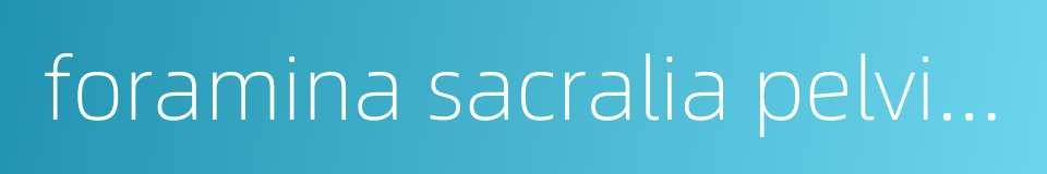 foramina sacralia pelvina的同义词