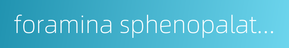 foramina sphenopalatinum的同义词