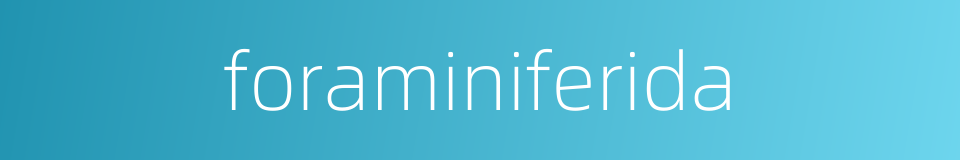 foraminiferida的同义词