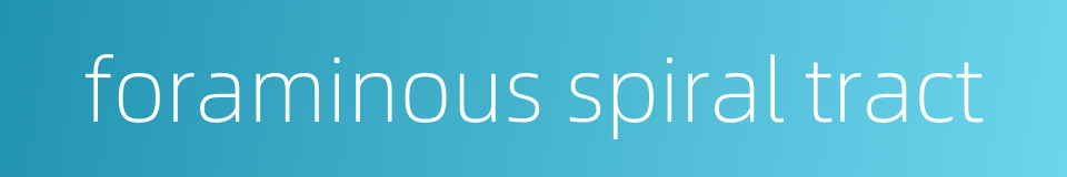 foraminous spiral tract的同义词