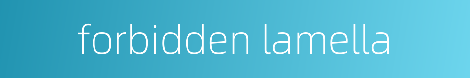 forbidden lamella的同义词
